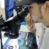 Reparación de placa de laptop con microscopio